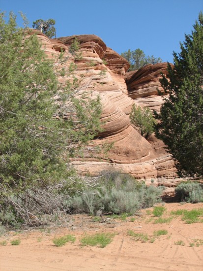 slideshow image