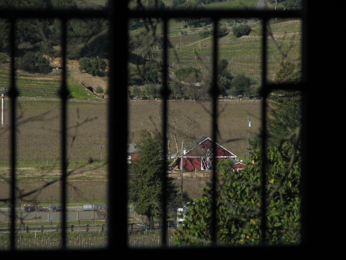 slideshow image