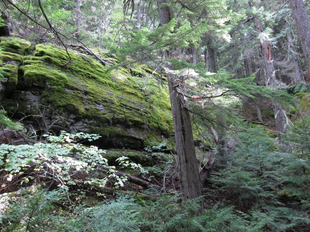 slideshow image