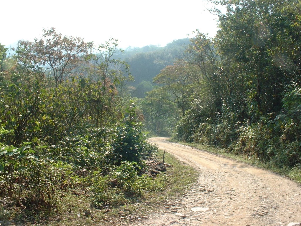 slideshow image