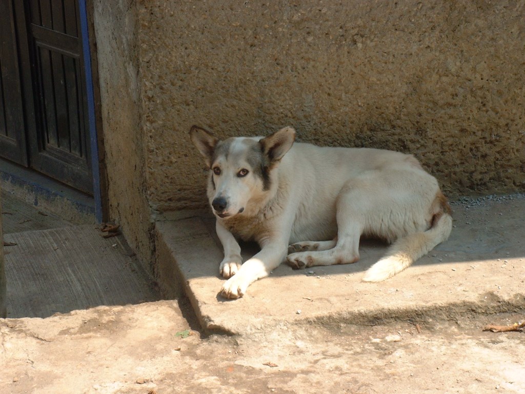slideshow image