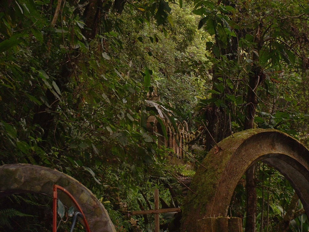 slideshow image