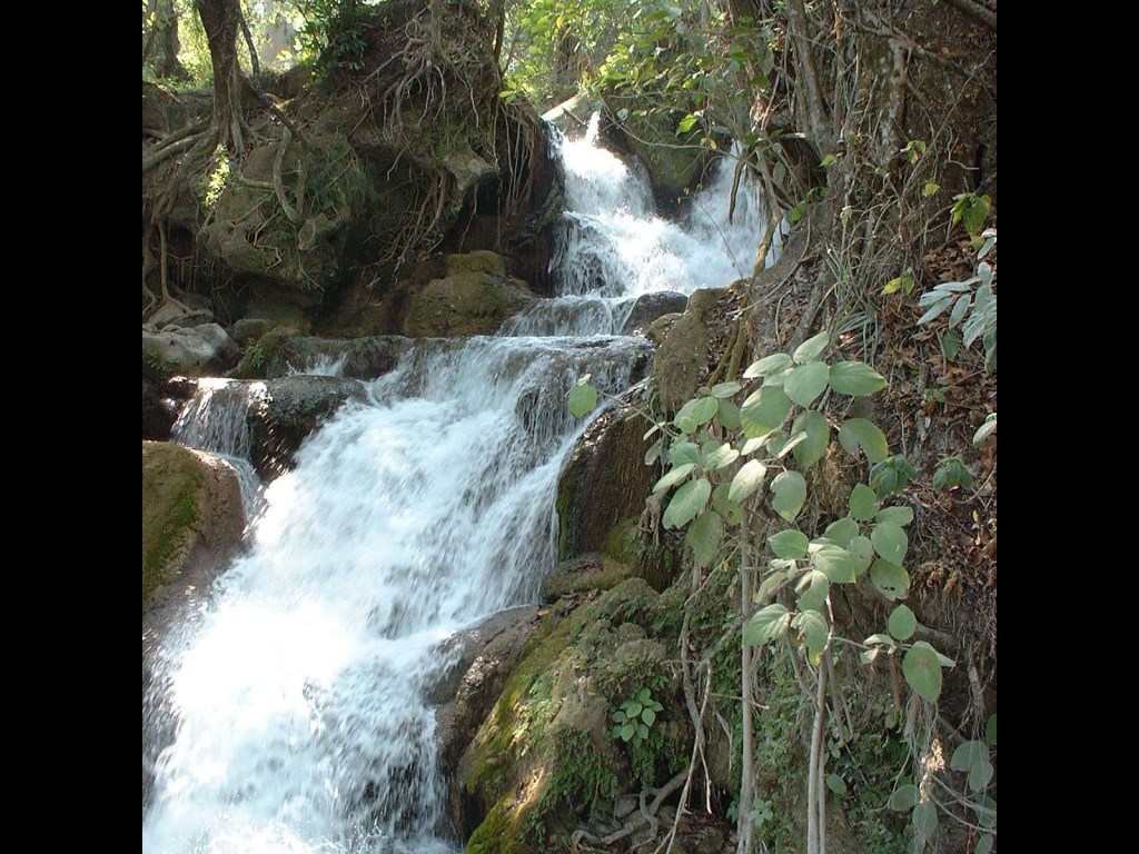 slideshow image
