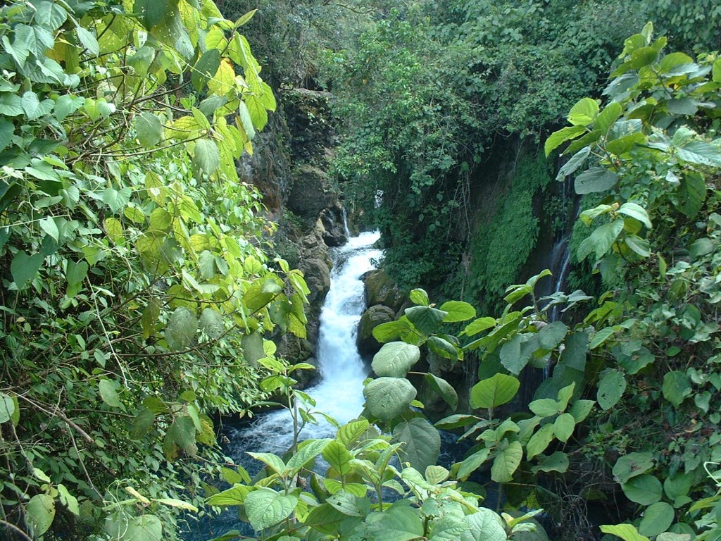 slideshow image