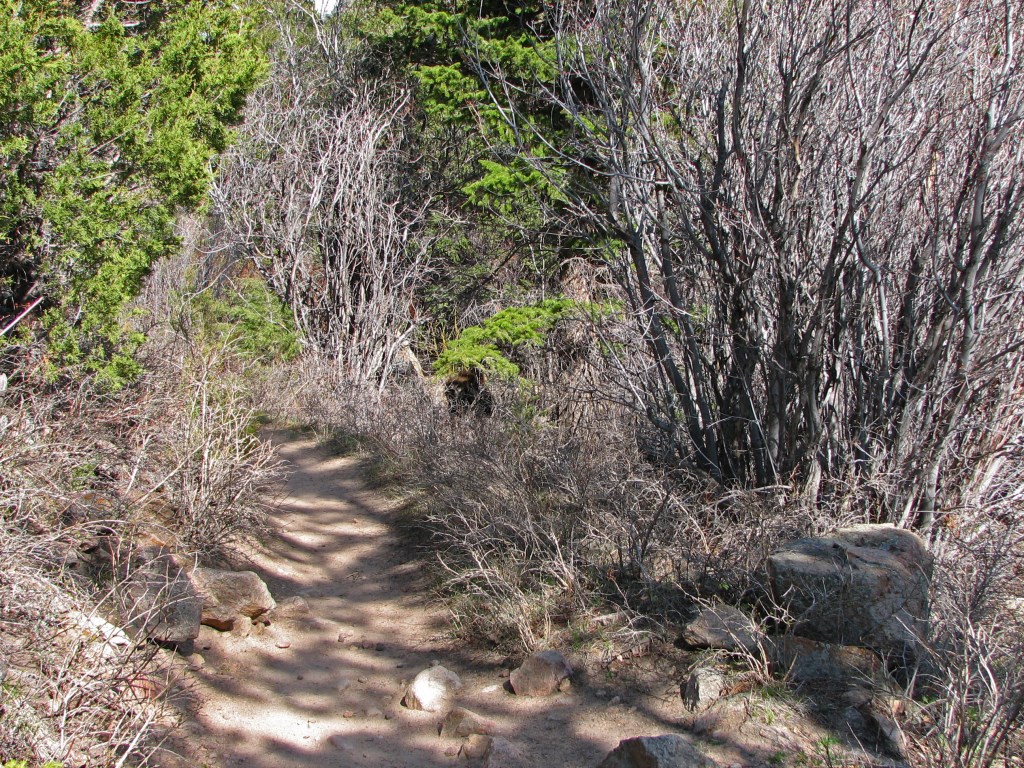 slideshow image