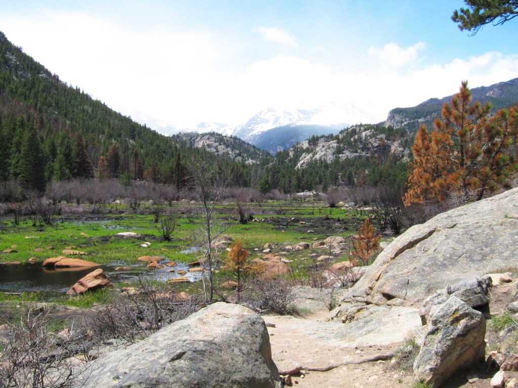 slideshow image